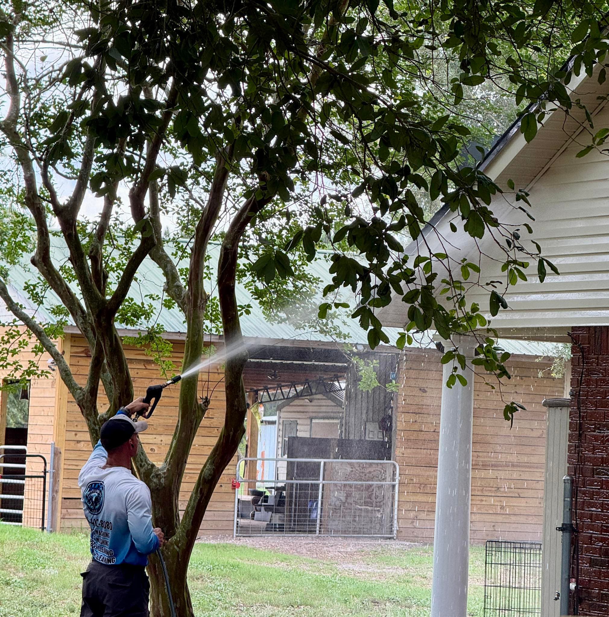 A man pressure washes the white eaves of a house behind a large tree.